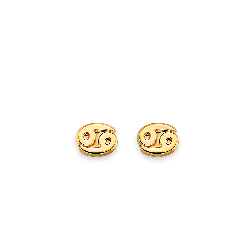 Zodiac Sign Earrings